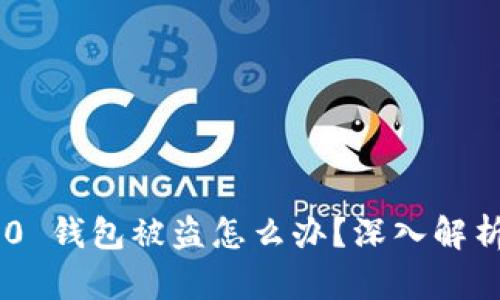 Tokenim 2.0 钱包被盗怎么办？深入解析与应对策略