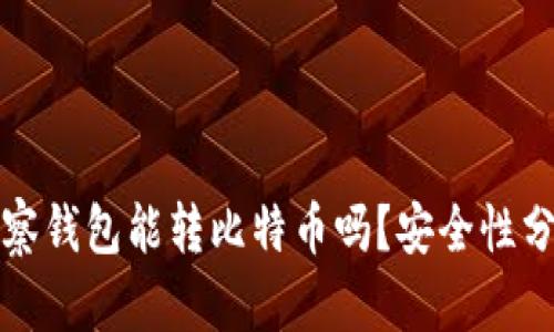 观察钱包能转比特币吗？安全性分析