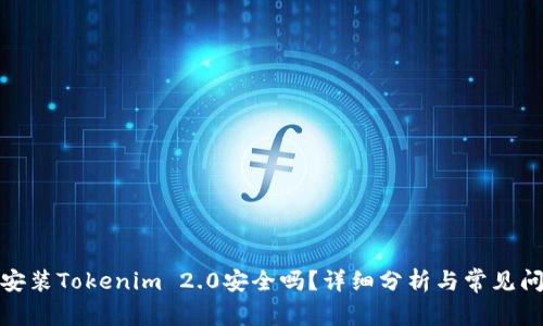 安卓上安装Tokenim 2.0安全吗？详细分析与常见问题解答