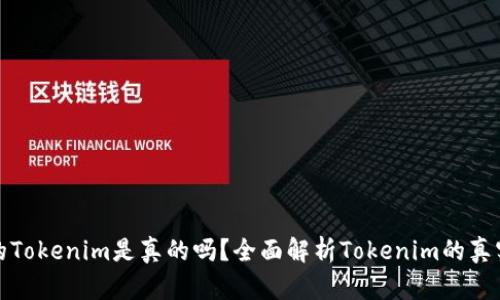 国内的Tokenim是真的吗？全面解析Tokenim的真实面貌