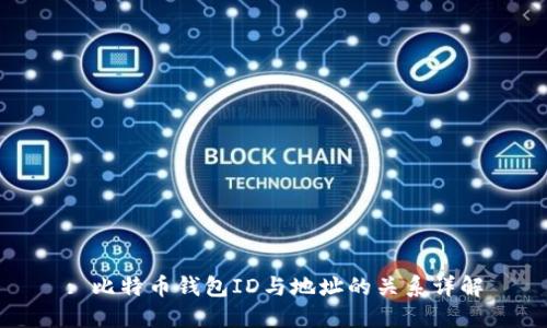: 比特币钱包ID与地址的关系详解