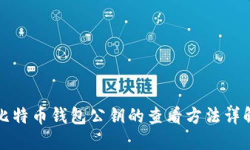 比特币钱包公钥的查看方法详解