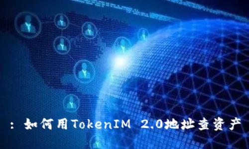 : 如何用TokenIM 2.0地址查资产