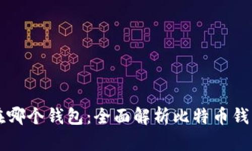 比特币可以放在哪个钱包：全面解析比特币钱包的选择与使用