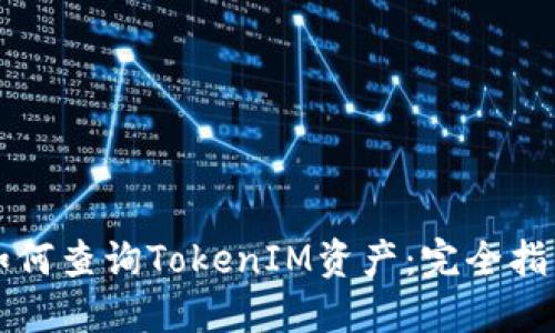 如何查询TokenIM资产：完全指南