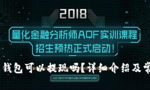 USDT小金库钱包可以提现吗？详细介绍及常见问题解答