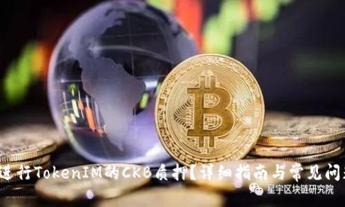 如何进行TokenIM的CKB质押？详细指南与常见问题解析