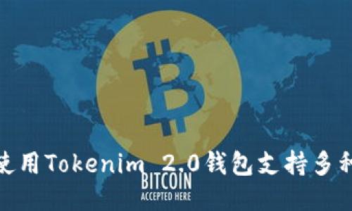 如何使用Tokenim 2.0钱包支持多种公链