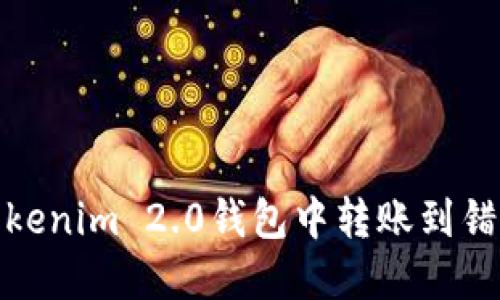 如何解决在Tokenim 2.0钱包中转账到错误地址的情况