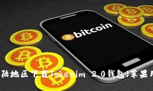 怎样在大陆地区下载Tokenim 2.0钱包（苹果用户指南）