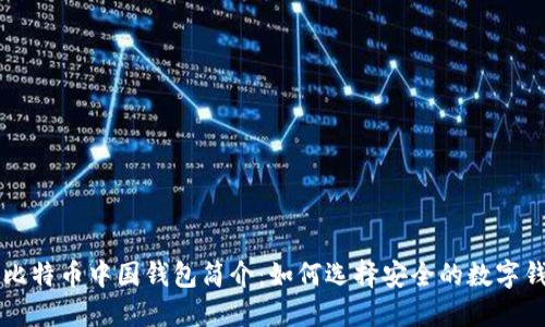 原比特币中国钱包简介：如何选择安全的数字钱包