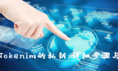 如何导出Tokenim的私钥：详细步骤与注意事项