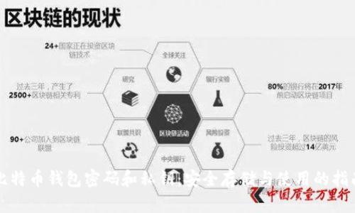 比特币钱包密码和私钥：安全存储与使用的指南