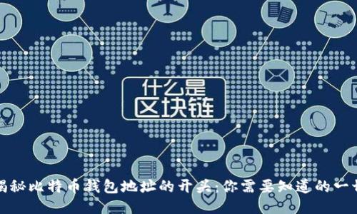 揭秘比特币钱包地址的开头：你需要知道的一切