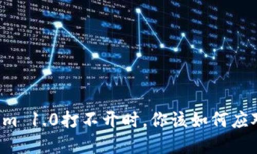 当Tokenim 1.0打不开时，你该如何应对与解决？