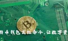 轻松掌握比特币钱包高级