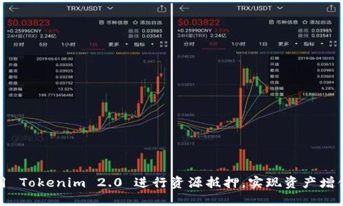 如何利用 Tokenim 2.0 进行资源抵押，实现资产增值的梦想