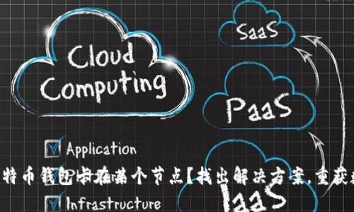 为什么你的比特币钱包卡在某个节点？找出解决方案，重获数字资产自由！