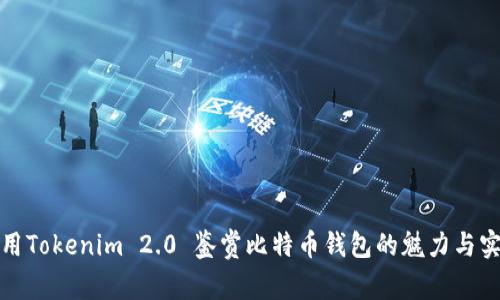 如何用Tokenim 2.0 鉴赏比特币钱包的魅力与实用性