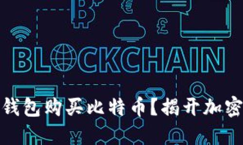 如何选择完美的钱包购买比特币？揭开加密货币的神秘面纱