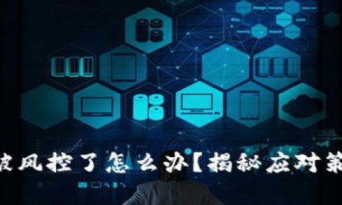 Tokenim被风控了怎么办？揭秘应对策略和建议