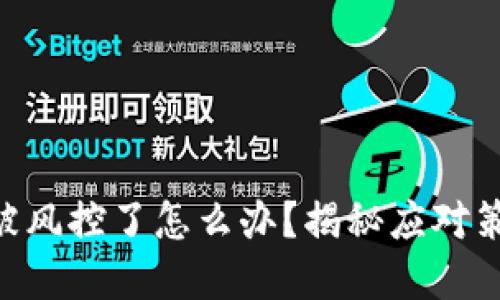 Tokenim被风控了怎么办？揭秘应对策略和建议