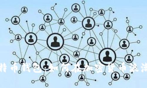 揭秘尼日利亚比特币钱包：如何在加密货币浪潮中掌握财富之钥