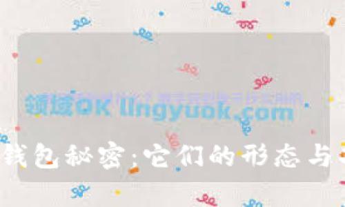 你不知道的比特币钱包秘密：它们的形态与功能到底有多强大？