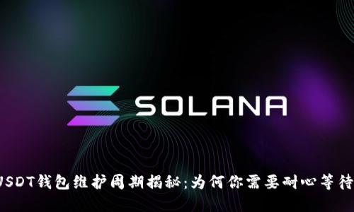 USDT钱包维护周期揭秘：为何你需要耐心等待？