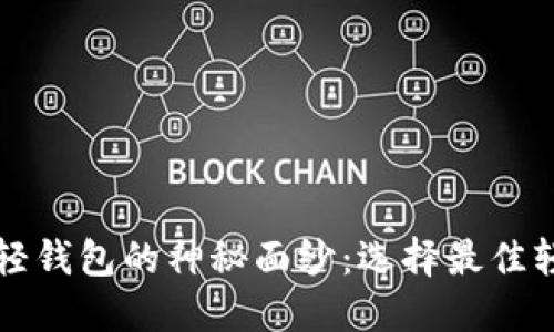 揭开比特币轻钱包的神秘面纱：选择最佳轻钱包的指南