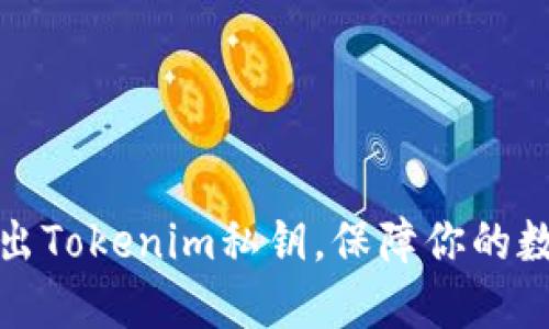 如何安全导出Tokenim私钥，保障你的数字资产安全
