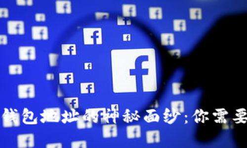 揭开虚拟币钱包地址的神秘面纱：你需要知道的一切