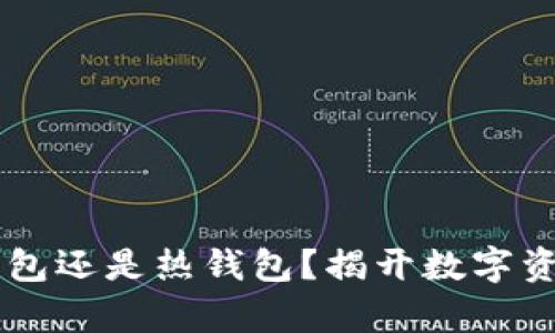 Tokenim：冷钱包还是热钱包？揭开数字资产存储的真相