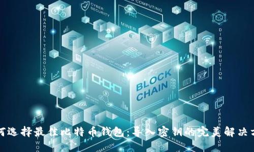 如何选择最佳比特币钱包：导入密钥的完美解决方案