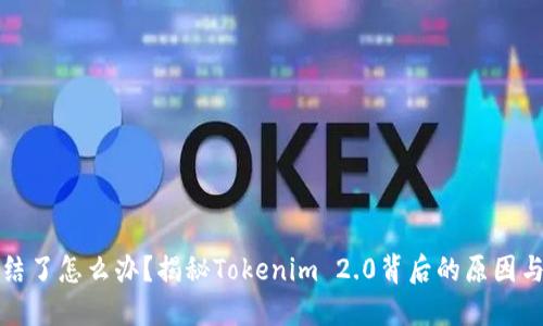 钱包被冻结了怎么办？揭秘Tokenim 2.0背后的原因与解决方案