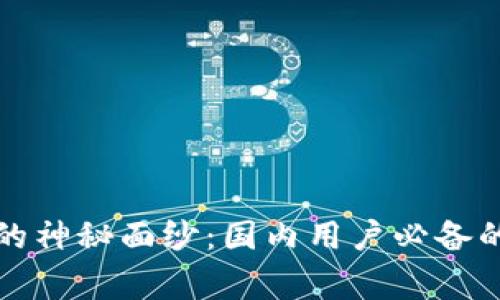 揭开区块链钱包的神秘面纱：国内用户必备的选择与注意事项