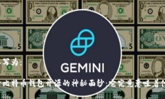 可以写为：揭开比特币钱