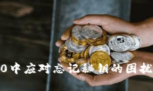 如何在Tokenim 2.0中应对忘记秘钥的困扰？快速恢复你的资产