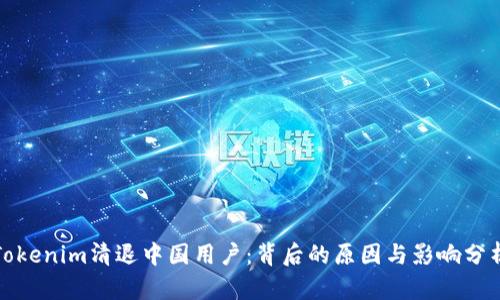 Tokenim清退中国用户：背后的原因与影响分析