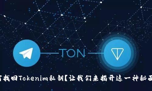 如何找回Tokenim私钥？让我们来揭开这一神秘面纱！