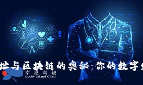 探秘钱包地址与区块链的奥秘：你的数字财产在哪里？