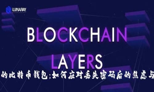 失落的比特币钱包：如何应对丢失密码后的焦虑与希望