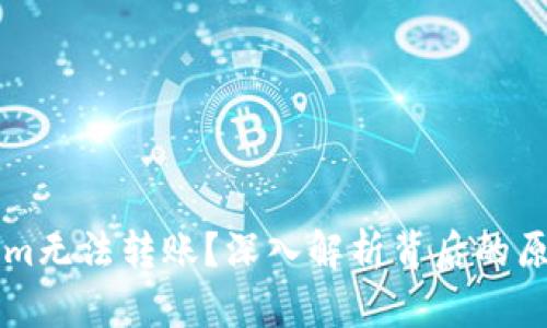 为什么Tokenim无法转账？深入解析背后的原因与解决方案