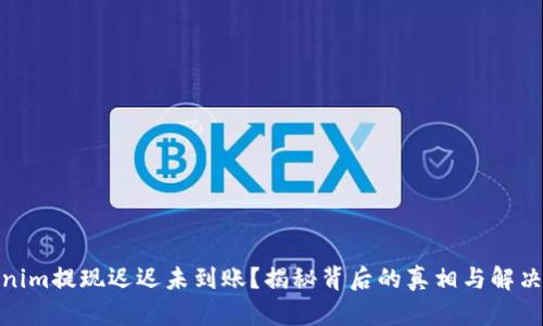 Tokenim提现迟迟未到账？揭秘背后的真相与解决之道