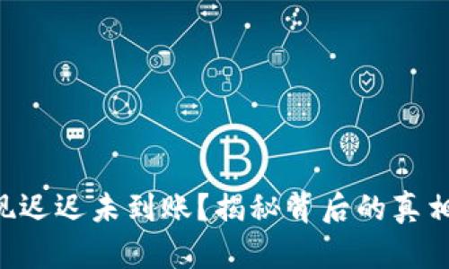 Tokenim提现迟迟未到账？揭秘背后的真相与解决之道