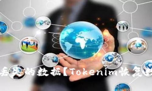 如何轻松找回丢失的数据？Tokenim恢复数据的终极指南