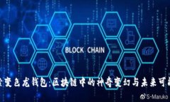探索变色龙钱包：区块链