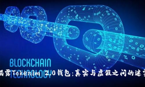 揭露Tokenim 2.0钱包：真实与虚假之间的迷雾