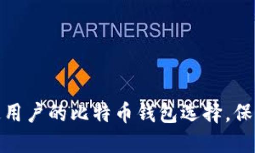 揭秘：最适合普通用户的比特币钱包选择，保护你的数字资产！