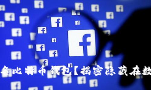 如何选择安全的匿名比特币钱包？揭密隐藏在数字货币背后的秘密